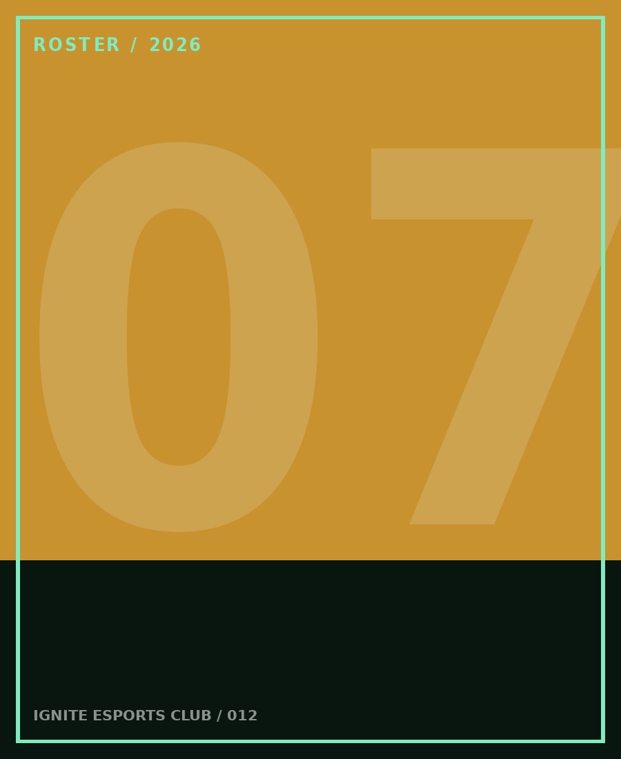 开云官方在线注册 - 战队中单选手 Night 定妆照